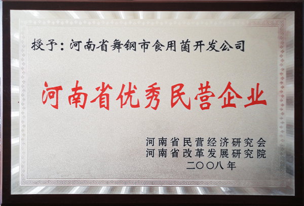 河南省优秀民营企业